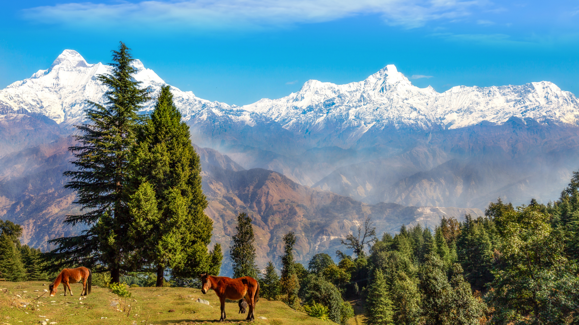 Explore Dehradun in Taxi